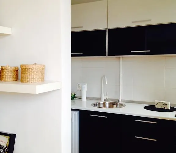 Cozy - Floreasca/​dorobanti - Apartament Bukareszt