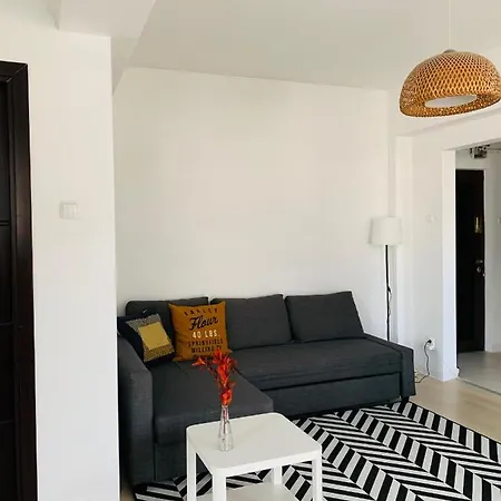 Cozy - Floreasca/​dorobanti - Apartament Bukareszt